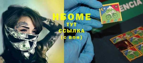 стаф Алзамай