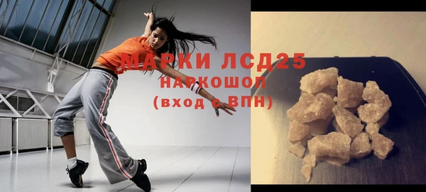 стаф Алзамай