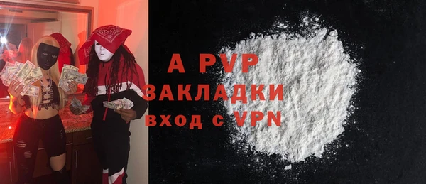 стаф Алзамай
