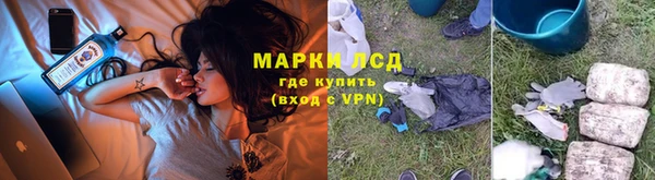 стаф Алзамай