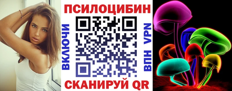 Галлюциногенные грибы Psilocybe Енисейск