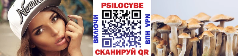где найти   Енисейск  гидра ссылка  Галлюциногенные грибы ЛСД 